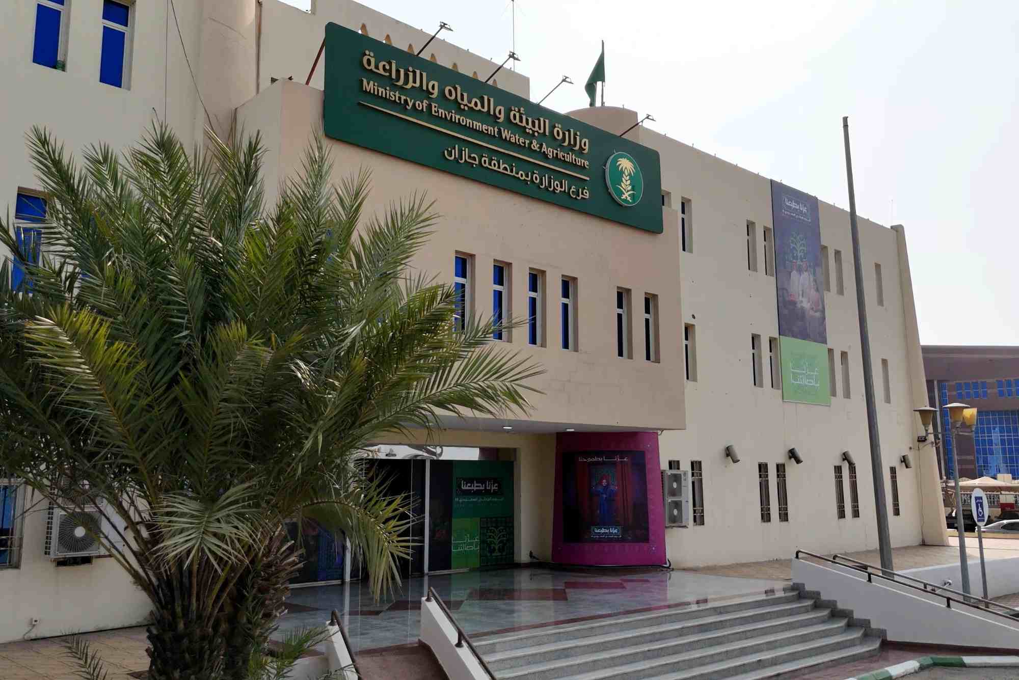 فرص استثمارية جديدة في السوق المحلي