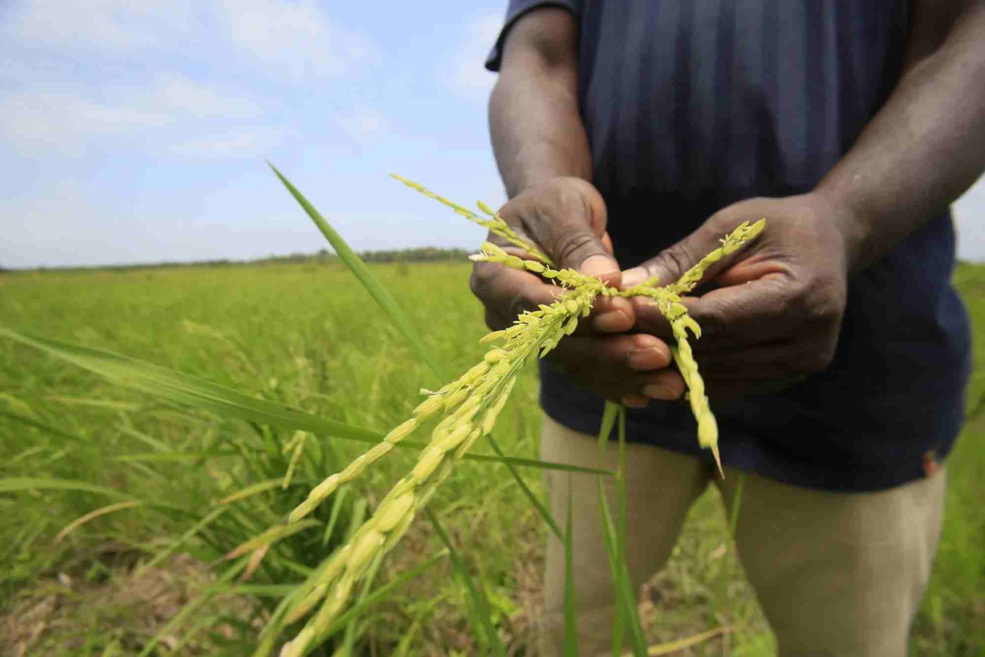 تحركات عالمية للحد من الانبعاثات