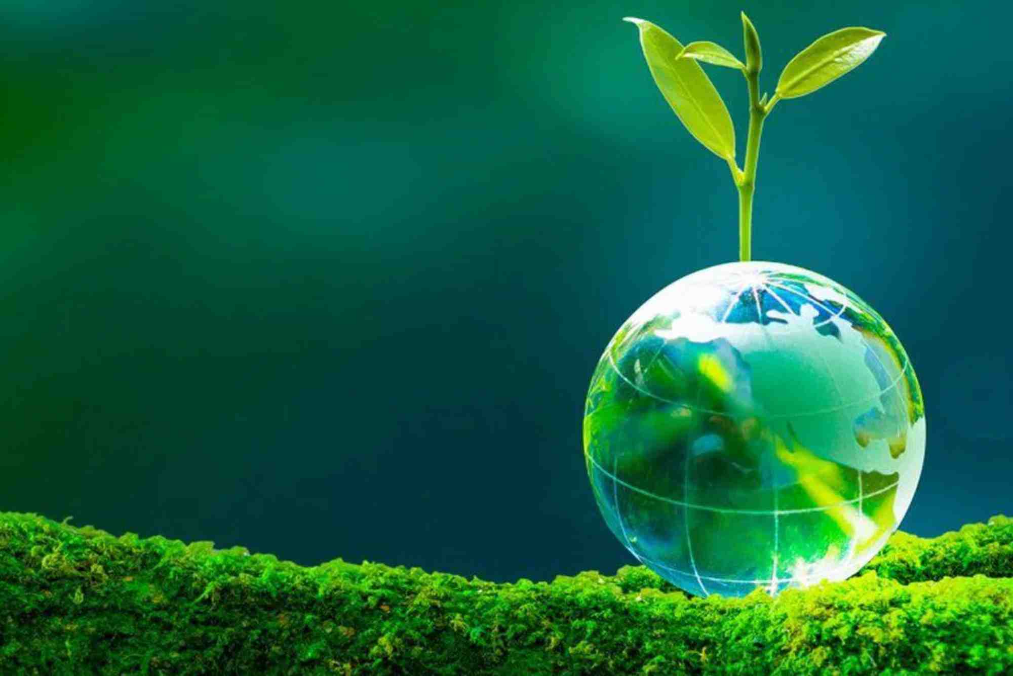 خطط جديدة لدعم الاقتصاد الأخضر