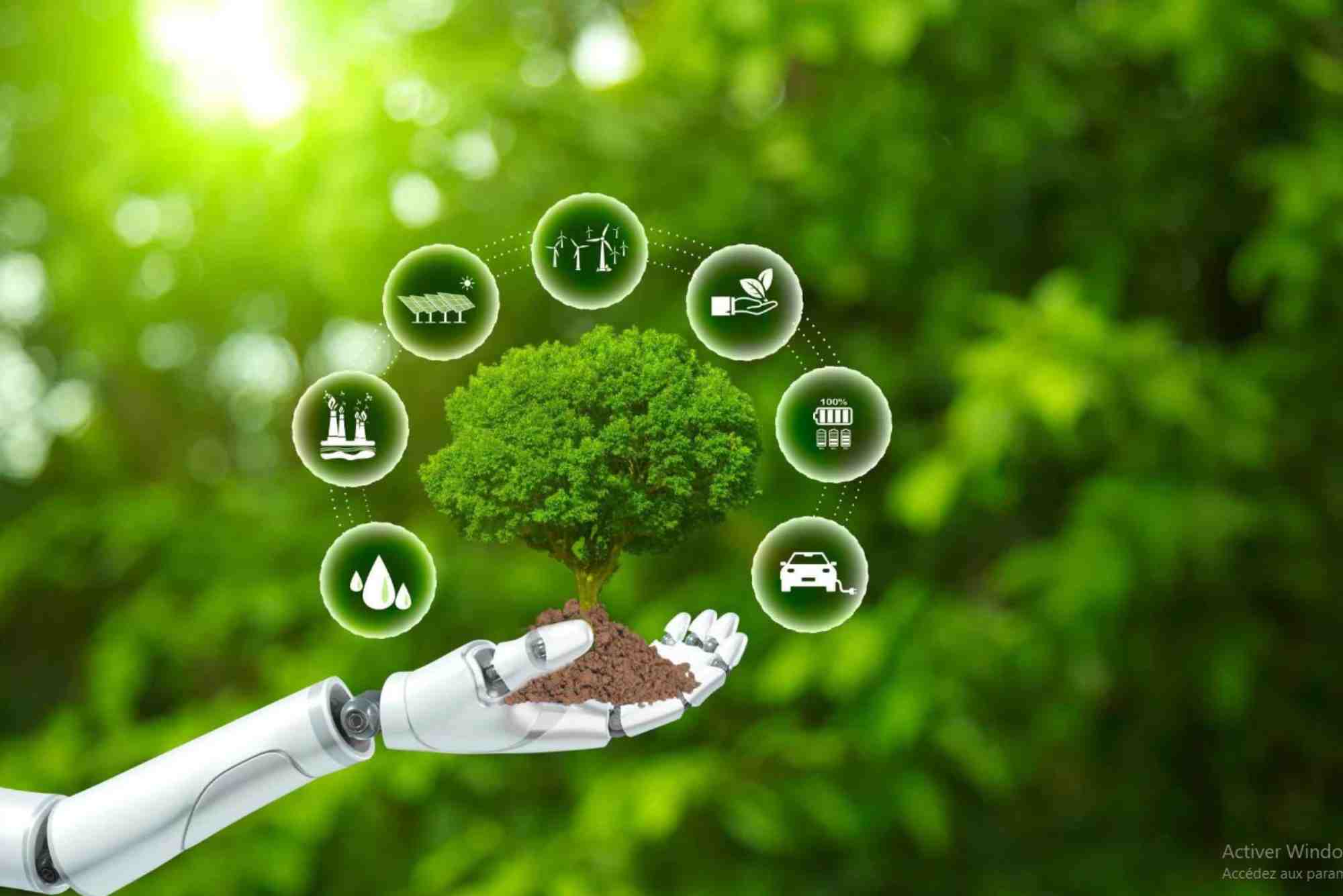 مبادرات بيئية تعزز حماية الموارد